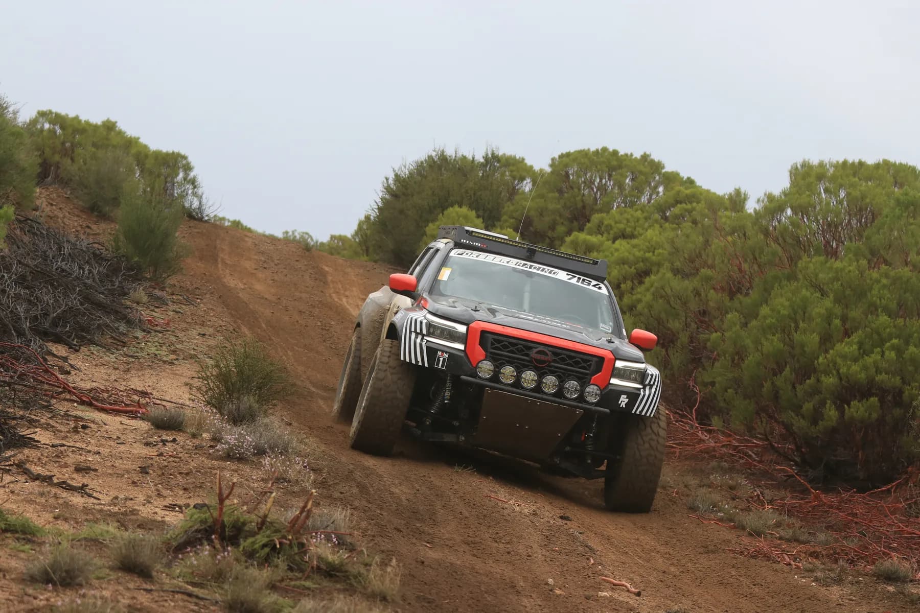 Chris Forsberg gallery image