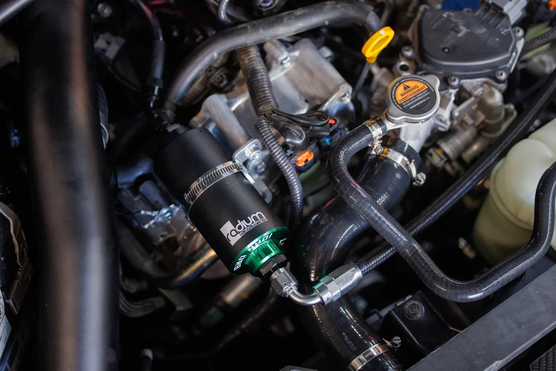 Chris Forsberg gallery image