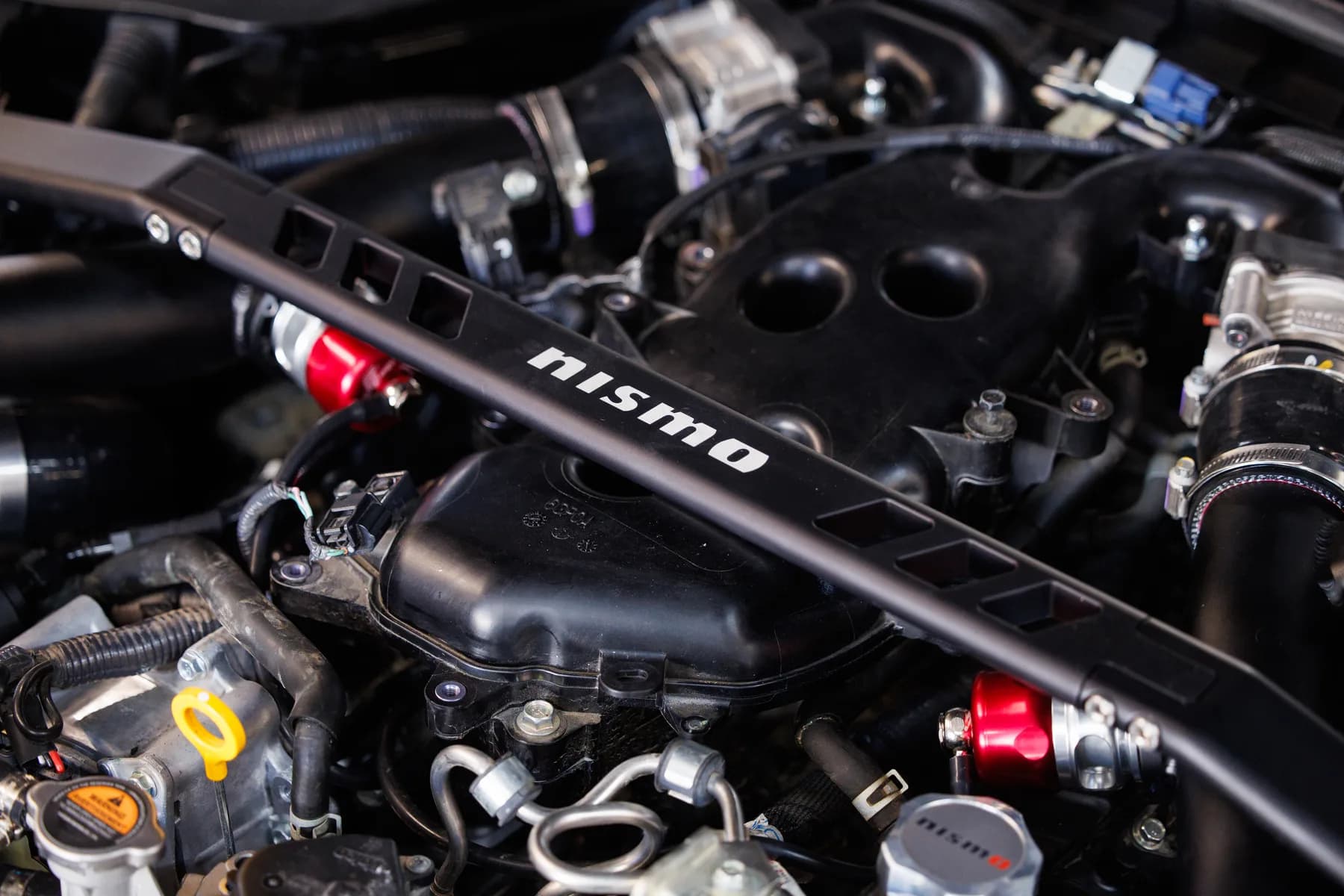 Chris Forsberg gallery image